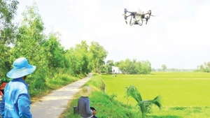 Nông dân tỉnh Trà Vinh sử dụng thiết bị không người lái bón phân cho ruộng lúa.