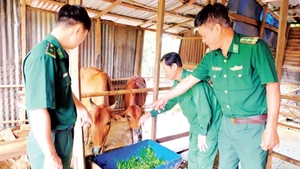 Cán bộ Đồn Biên phòng Đắk Ơ thăm hỏi các hộ dân được tặng bò giống.