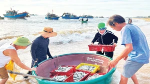 Những chuyến tàu đầy ắp cá tôm được chuyển vào đất liền.