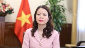 Thứ trưởng Ngoại giao Nguyễn Minh Hằng. (Ảnh: Bộ Ngoại giao Việt Nam)