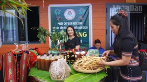 Huyện Tu Mơ Rông phát triển đa dạng các sản phẩm từ dược liệu.