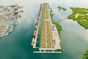 Dự án Cảng trung chuyển quốc tế Cần Giờ được Thủ tướng chấp thuận chủ trương đầu tư vào tháng 1/2025 (Ảnh: VÕ LÊ)