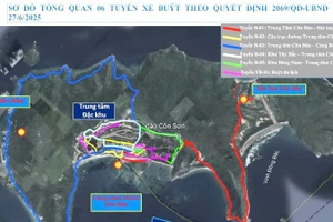 Tổng quan 6 tuyến xe buýt điện sẽ "lăn bánh" tại Côn Đảo trong tháng 12. 