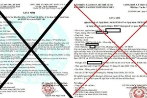 Văn bản giả mạo Cơ quan Bảo hiểm xã hội Thành phố Hồ Chí Minh.