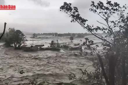 [Video] Philippines ban bố tình trạng thảm họa sau bão Kalmaegi, ít nhất 140 người thiệt mạng