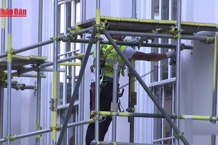 [Video] Anh nới lỏng điều kiện nhập cư để giải quyết thiếu hụt lao động 