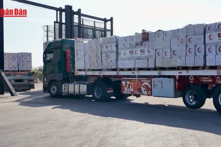 [Video] Liên hợp quốc cảnh báo lượng lương thực vào Dải Gaza chưa đáp ứng nhu cầu