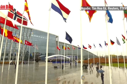 [Video] Ông Donald Trump không muốn Mỹ phải chi 5% GDP cho quốc phòng