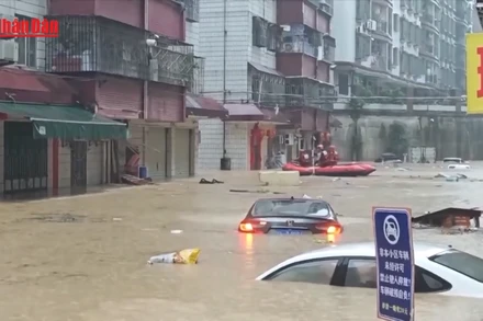 [Video] Trung Quốc phân bổ khoảng 60 triệu USD khắc phục hậu quả mưa lũ