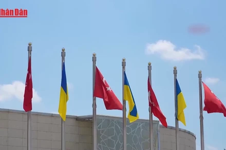 [Video] Ukraine xác nhận vòng hoà đàm tiếp theo với Nga