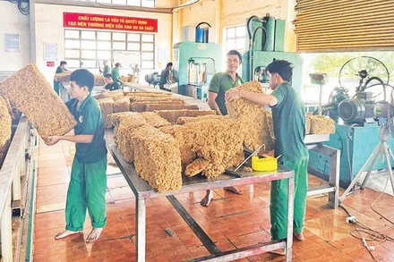 Ngành công nghiệp cao-su mang lại nguồn thu nhập ổn định cho người dân và các doanh nghiệp.