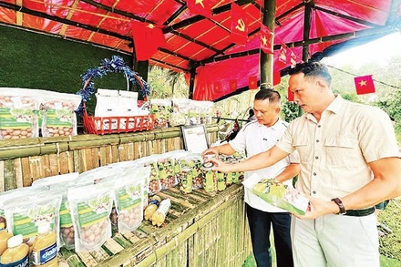 Xã biên giới Sa Loong mở rộng hợp tác với doanh nghiệp, hợp tác xã hình thành chuỗi sản xuất, tiêu thụ nông sản.