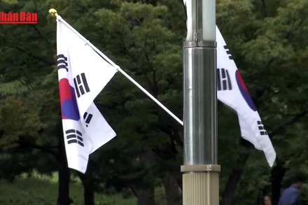 [Video] Tổng thống Hàn Quốc yêu cầu điều tra việc phân biệt đối xử và nợ lương người lao động nhập cư 