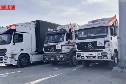 [Video] Ai Cập không để người Palestine bị di dời qua cửa khẩu Rafah