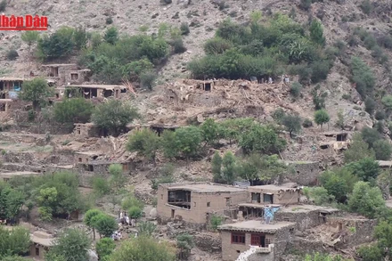 [Video] Số người thiệt mạng vì động đất tại Afghanistan tiếp tục tăng 