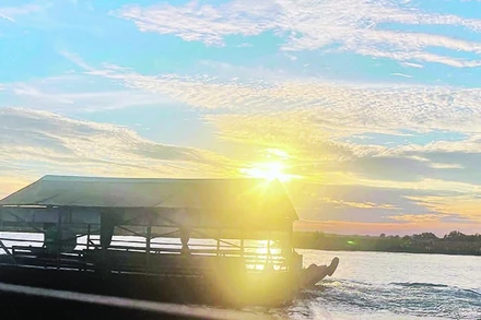 Thuyền du lịch đưa du khách tham quan Vườn quốc gia Tràm Chim.