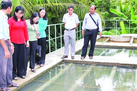 Đoàn khảo sát của Ban Văn hóa-Xã hội, Hội đồng nhân dân tỉnh Vĩnh Long kiểm tra tại Nhà máy nước Trà Côn.