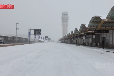 [Video] Bão mùa Đông tại Mỹ có thể gây thiệt hại lên tới 115 tỷ USD