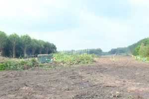 Mặt bằng cao tốc Thành phố Hồ Chí Minh-Thủ Dầu Một-Chơn Thành đoạn qua tỉnh Bình Phước được giải phóng.