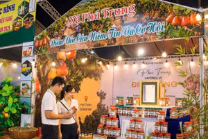 Gian hàng của xã Phú Trung, một địa phương có diện tích cây điều lớn của thành phố Đồng Nai tham gia lễ hội