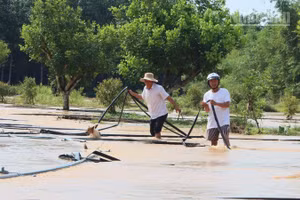 Người dân khắc phục thiên tai.