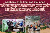 Agribank triển khai các giải pháp hỗ trợ khách hàng vay vốn bị thiệt hại do bão lũ