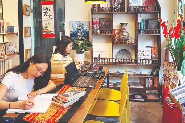 Nhiều bạn đọc Việt Nam cũng đến Bookworm Hanoi để tìm kiếm sách ngoại văn.