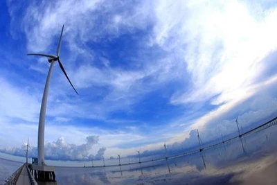 Ảnh minh họa. (Nguồn: TTXVN)