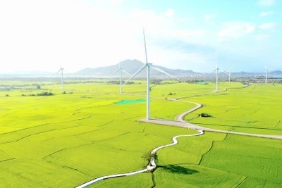 Cánh đồng điện gió Đầm Nại (Ninh Thuận). (Ảnh: Nguyễn Thành – TTXVN)