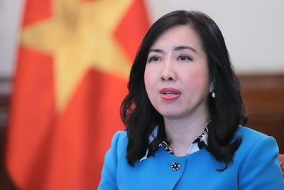 Thứ trưởng Ngoại giao Lê Thị Thu Hằng. (Ảnh: An Đăng/TTXVN)