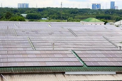 Pin năng lượng mặt trời được nhiều khu công nghiệp sử dụng, tạo nguồn năng lượng tái tạo, thân thiện với môi trường. (Ảnh: Hồng Đạt - TTXVN)
