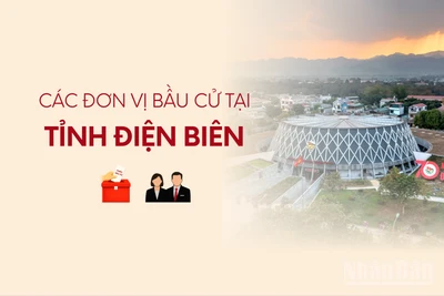 [Infographic] Các đơn vị bầu cử đại biểu Quốc hội tại tỉnh Điện Biên