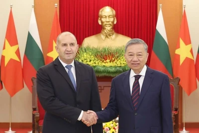 Tổng Bí thư Tô Lâm tiếp Tổng thống Cộng hòa Bulgaria Rumen Radev thăm chính thức Việt Nam, tại Trụ sở Trung ương Đảng, chiều 25/11/2024. (Ảnh: Thống Nhất/TTXVN)