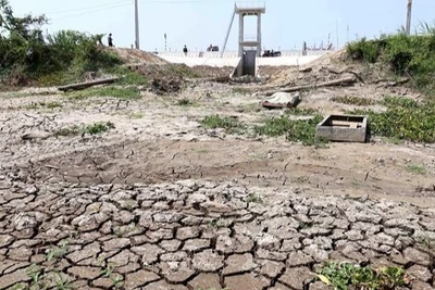 Ảnh minh họa: Cống thủy lợi tại xã Long Hòa, thị xã Gò Công, tỉnh Tiền Giang (cũ) không thể sử dụng vì hạn hán, xâm nhập mặn tháng 3/2020. (Ảnh: Vũ Sinh - TTXVN)