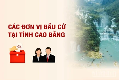 [Infographic] Các đơn vị bầu cử đại biểu Quốc hội tại tỉnh Cao Bằng