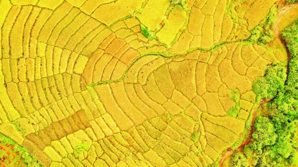 Phía tây miền núi tỉnh Quảng Ngãi sở hữu nhiều cảnh quan thiên nhiên phù hợp du lịch trải nghiệm.