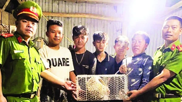 Nhóm thanh niên phường Bắc Gia Nghĩa bàn giao cá thể tê tê cho lực lượng công an phường.