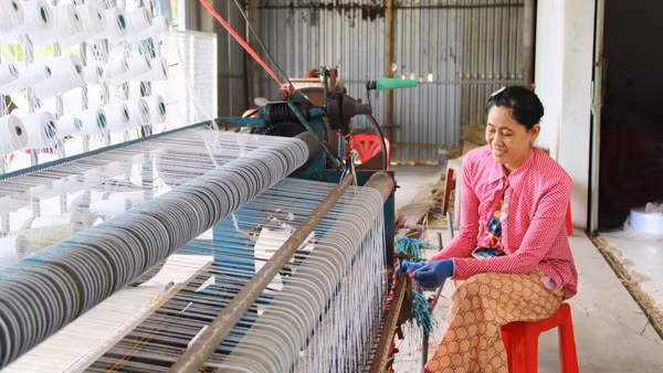 Bà Nguyễn Thị Minh Trang, chủ cơ sở dệt chiếu ấp Ðức Mỹ, xã Nhị Long dệt chiếu bằng máy dệt bán tự động.