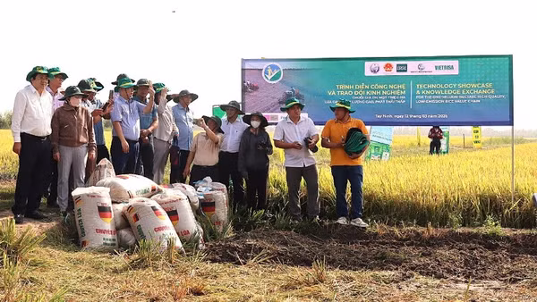 Viện Nghiên cứu Lúa gạo Quốc tế phối hợp Sở Nông nghiệp và môi trường tỉnh Tây Ninh và Hiệp hội Ngành hàng Lúa gạo Việt Nam tổ chức trình diễn công nghệ vào chuỗi giá trị 1 triệu ha lúa gạo chất lượng cao, phát thải thấp tại Hợp tác xã Nông nghiệp Gò Gòn, xã Vĩnh Thạnh. 