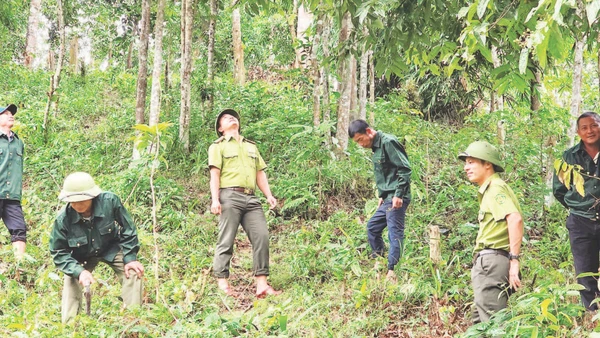 Cán bộ kiểm lâm Vườn quốc gia Xuân Liên và đội bảo vệ rừng thôn Thác Làng trong một chuyến tuần tra.