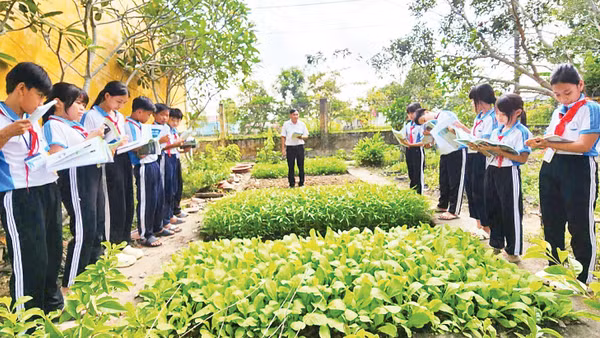 Không chỉ dừng lại ở việc tiếp thu kiến thức trên lớp, học sinh Trường trung học cơ sở Vĩnh Thuận Tây, xã Vĩnh Thuận Đông còn được vận dụng những gì học từ sách vào thực tiễn cuộc sống.