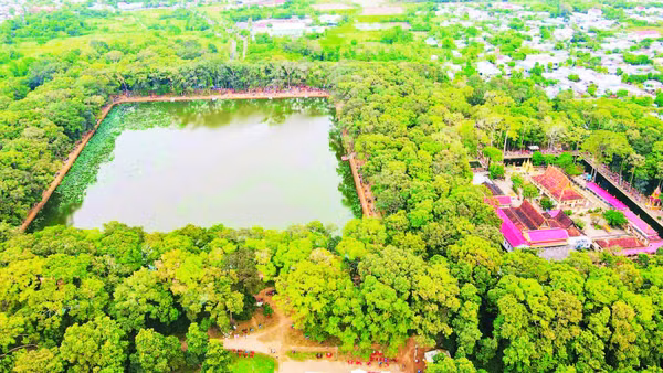 Danh thắng ao Bà Om, phường Nguyệt Hóa, tỉnh Vĩnh Long rợp bóng cây xanh.