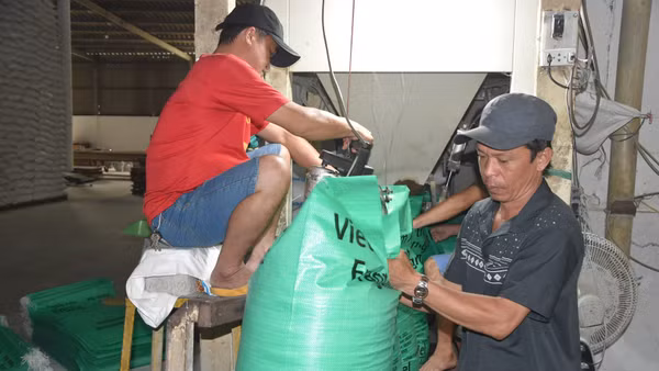 Doanh nghiệp chế biến gạo xuất khẩu tại tỉnh Đồng Tháp.