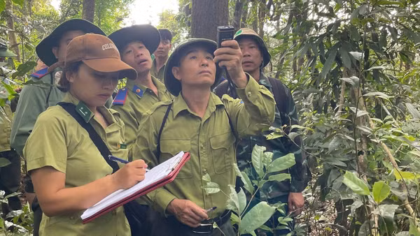 Lực lượng kiểm lâm Điện Biên cùng nhân dân các xã trong khu vực Mường Nhé tuần tra bảo vệ rừng.