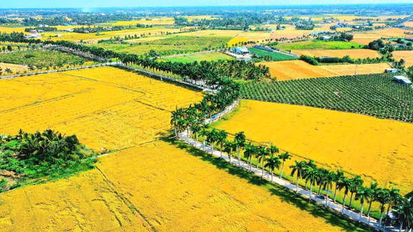 Chương trình nông thôn mới kiến tạo một nông thôn Tây Ninh ngày càng giàu đẹp.