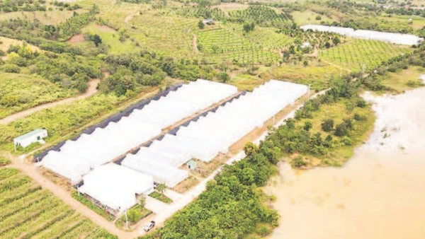 Một góc nông trại Chapor Farm, tại thôn Ma Ty, xã Bác Ái Tây, tỉnh Khánh Hòa.