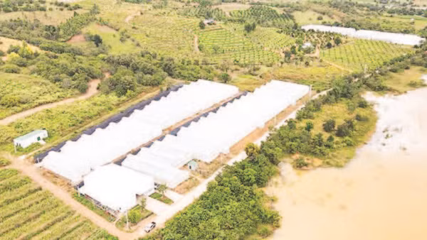 Một góc nông trại Chapor Farm, tại thôn Ma Ty, xã Bác Ái Tây, tỉnh Khánh Hòa.