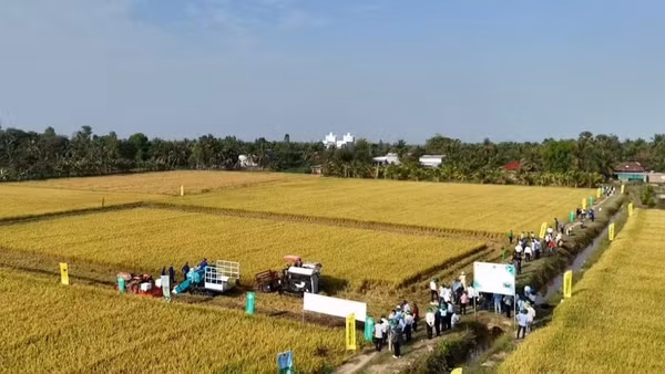 Tây Ninh tổ chức trình diễn chia sẻ kinh nghiệm với các tỉnh về hiệu quả của mô hình trong Đề án phát triển bền vững 1 triệu ha lúa chất lượng cao, phát thải thấp gắn với tăng trưởng xanh vùng Đồng bằng sông Cửu Long đến năm 2030 tại Hợp tác xã Nông nghiệp Gò Gòn (xã Vĩnh Thạnh).
