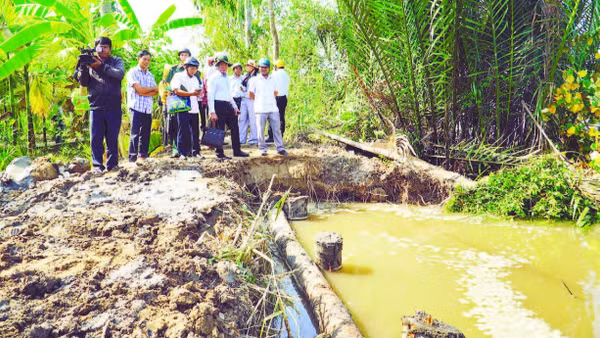 Ngành chuyên môn Cần Thơ khuyến khích người dân tham gia bảo vệ bờ sông bằng các biện pháp tự nhiên như trồng cây chắn sóng tại những khu vực có bãi bồi.