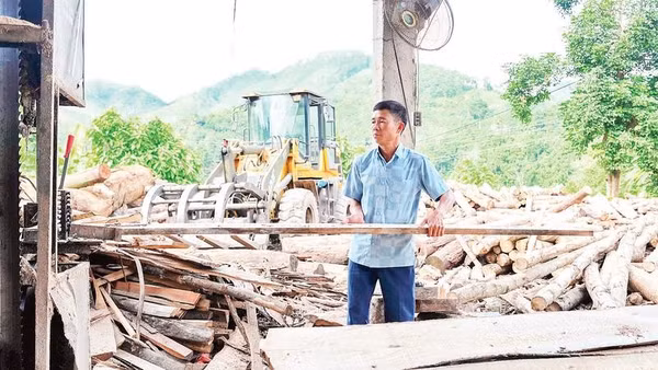 Ông Phùng Thế Tài tại xưởng chế biến gỗ ở thôn Mạ 1, xã Bảo Yên, tỉnh Lào Cai.